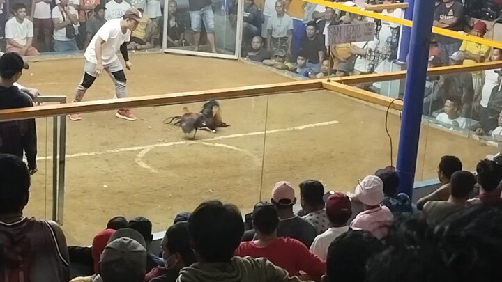 Big event Pa champion San pedro vs unisan quezon  # Win San pedro