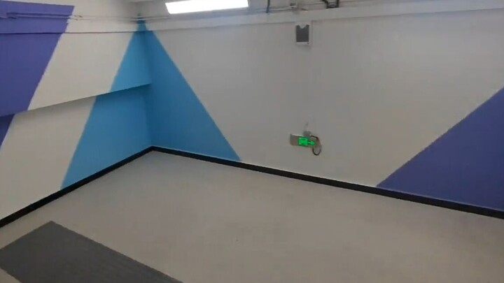 A “small black‑hat” background wall has unexpectedly appeared at a Shenzhen subway station. Cai Xuku