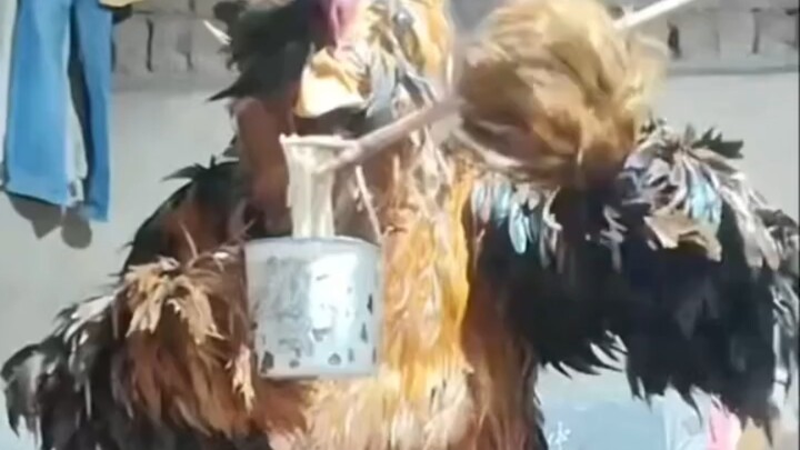 ตำนานเมือง: คนไก่