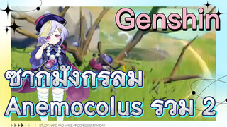 ซากมังกรลม Anemocolus รวม 2