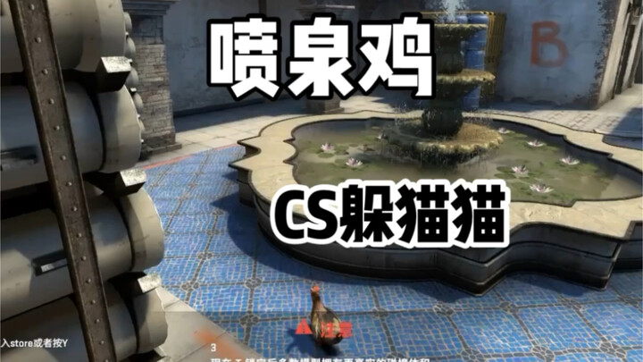 دجاج النافورة، لعبة الاختباء