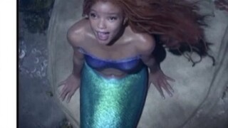 Pokémon VS Mermaid