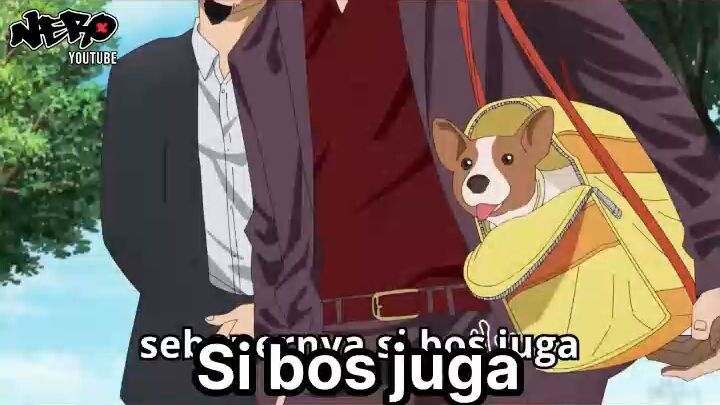 Tatsu Masak Buat Anjing Bos Mantannya
