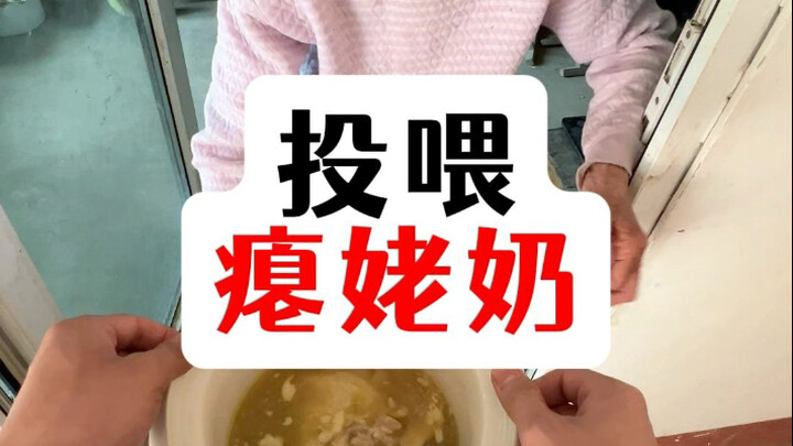 Tutorial memberi makan Bié Mǔ Tōng.