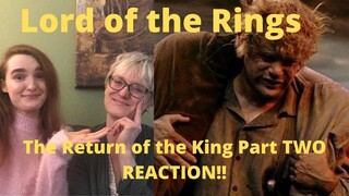 Lord of the Rings: The Return of the King Part Two REACTION!! Sam is literally the best friend ever!