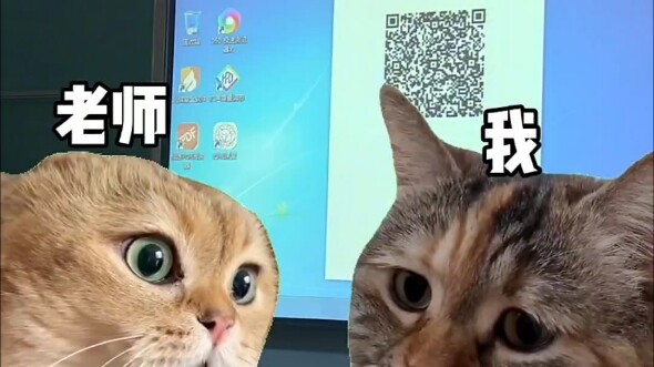 Memindai semua jenis kode justru bakal merugikan kamu!! #BelajarDiXidian