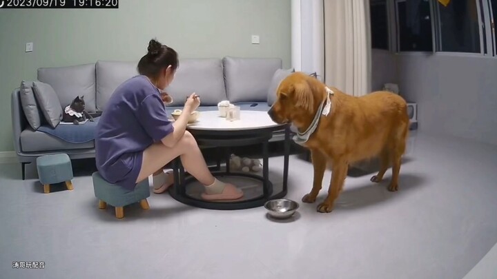 How humble it is to eat just this little bit of food.