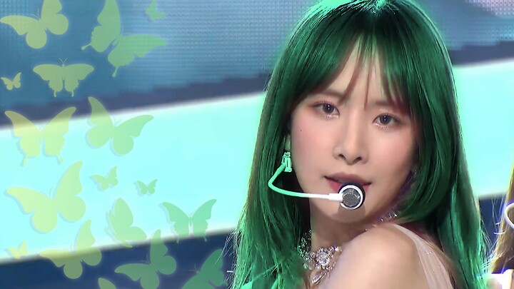 นางฟ้าผีเสื้อจะย้อมผมเป็นสีเขียวสดๆ หรือเปล่า? โคดี้จะคงมาตรฐานความงามตลอดทั้งคลิปไหม? มาสนุกกับมิกซ