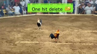 Boston Sweater one hit delete unscratch