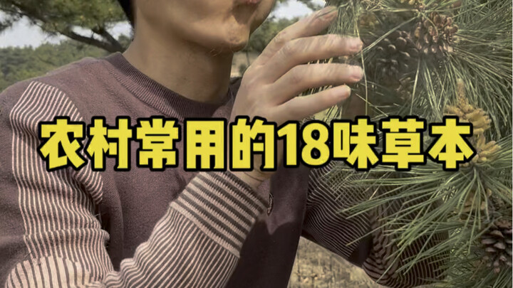 18 Commonly Used Herbal Remedies in Rural Areas