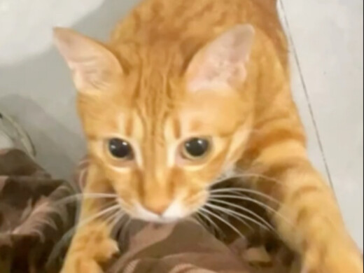 Kamu keluar sehari penuh tapi nggak dapat buruan sama sekali!!