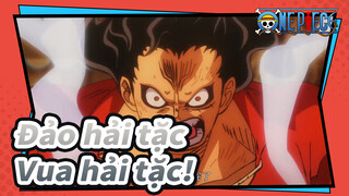 Đảo hải tặc|[Tổng hợp pha Hoành tráng] Luffy là người muốn trở thành vua hải tặc!