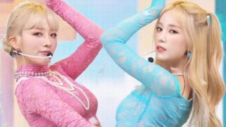 Apink小分队CHOBOM《Copycat》220719 THE SHOW 出道舞台