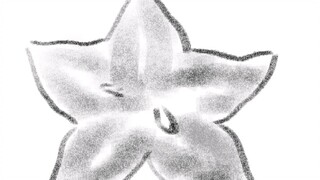 Drawing Starfruit