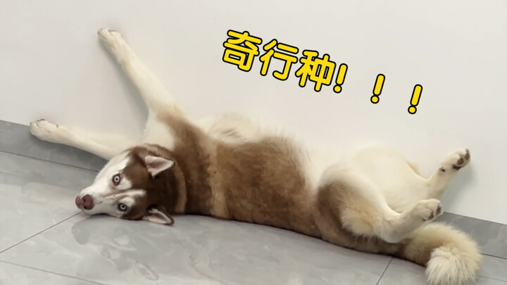 «المجتمع يكشف عن الجوع، ويجعلك محبّاً للأكل»