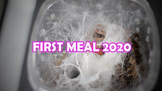 First Value&Healthy Meal for 2020 | Vlog#21