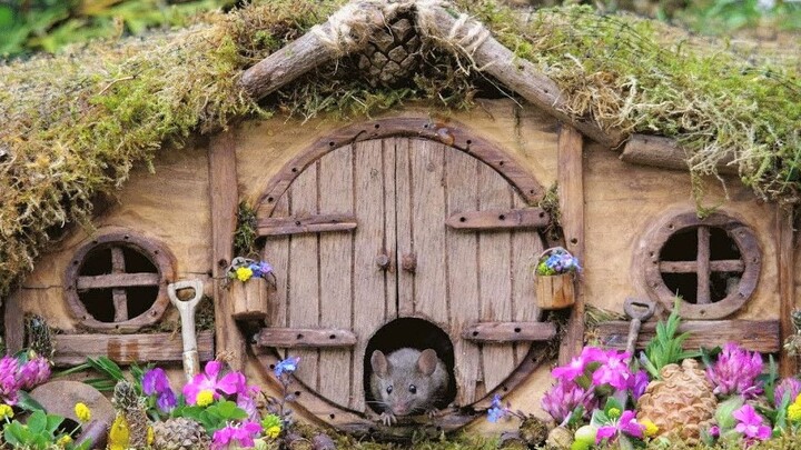 No way—I’m living in a house like this too!