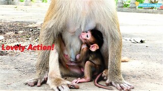 Oh Really Cute Actions! Baby Juventus Performing Good and Lovely Actions with Mothers