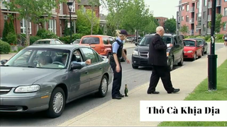 Trò đùa 2021 phần 39 #thobiettroll