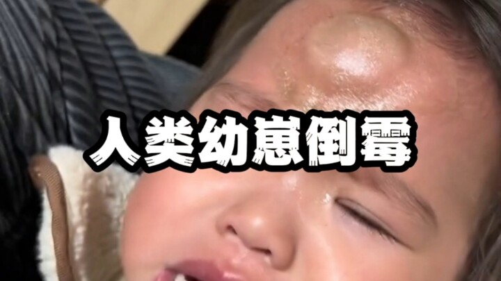 A Daily Laugh: Awkward Moments of Baby Humans