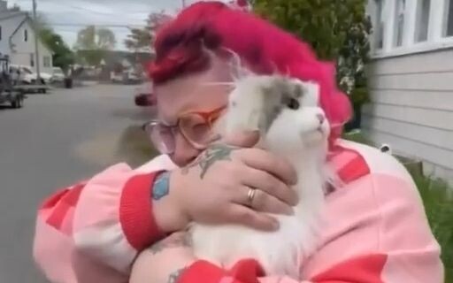 A foreign toy company can create custom dolls resembling deceased pets.