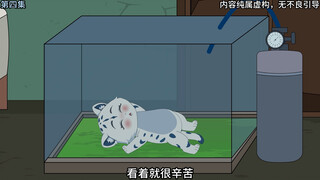 雪豹妈妈一直昏迷不醒，我向兵团求助
