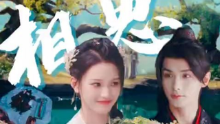 Hard to Find难寻「沈羽洁×赵弈钦」梨花树下梨花雨，梨花雨染何人衣，相思半顷锄不完恨别离。