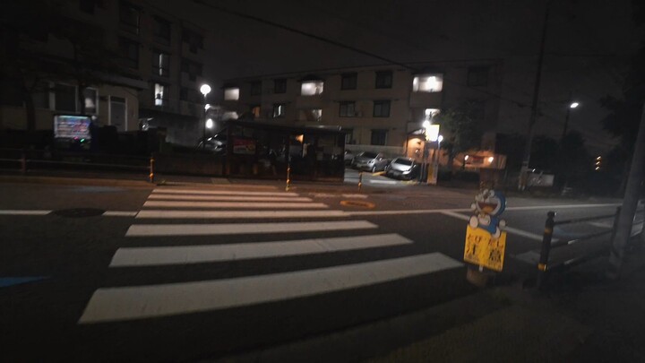 Night walking in rural Osaka.