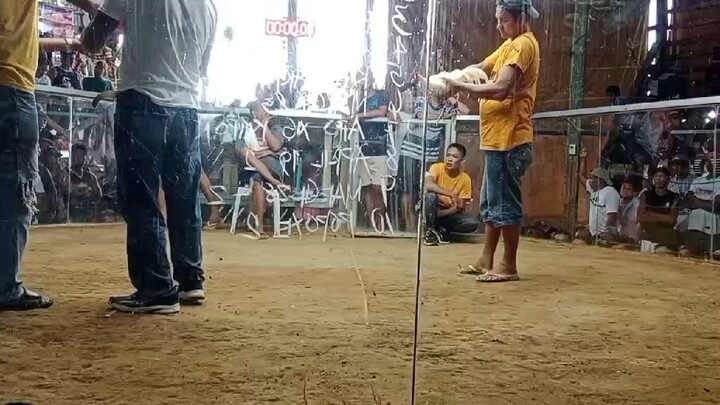 White Kelso Fr. Sir Biboy  #Win Quezon Quezon Arena