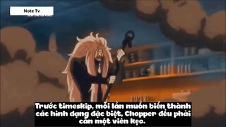 Top 7 Trái Zoan Mạnh Nhất One Piece #27- 4