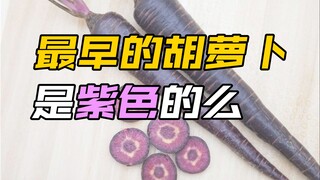 Apakah wortel paling awal berwarna ungu?