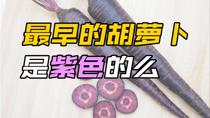最早的胡萝卜是紫色的么？
