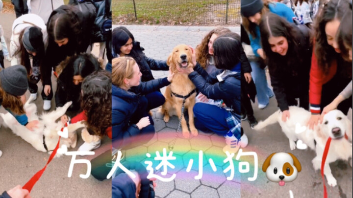 “ว่ากันว่าคนดังขวัญใจมหาชน อะไรคือคนดังขวัญใจมหาชน!”