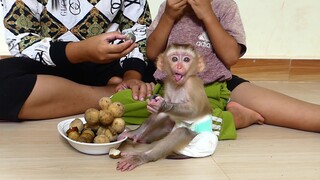 Adorable little baby Maki eating longan and grape Fruits with mom and brother Hour so ridiculously