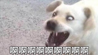 لماذا تُريني هذا النوع من الأشياء! أنا غيور