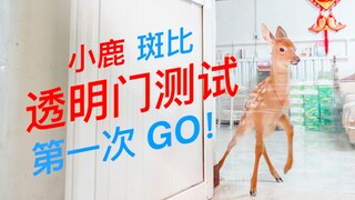 Bambi the Deer's Diary: My owner used tape to trick me and even tried to lure me into becoming a pre