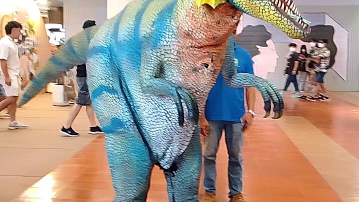 dinosaur 🦖
