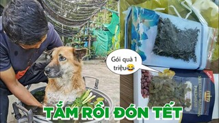 Tắm xong rồi ăn tết 😂 - Top comment hài face book.