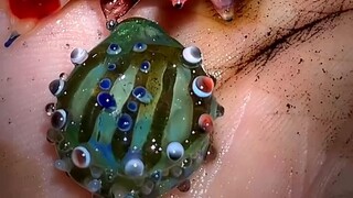 مأكولات بحرية صغيرة مصنوعة من الزجاج～