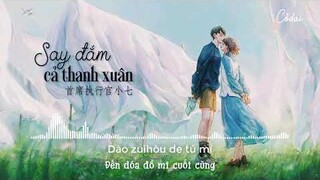 [Vietsub + Pinyin] Say Đắm Cả Thanh Xuân Remix - 首席执行官小七 | 沉醉的青丝 (DJ抖音版)