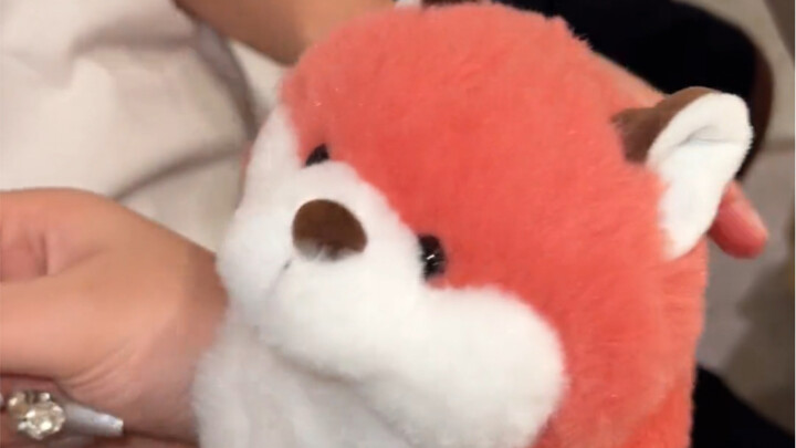 بالنظر إلى العلاقة بيننا، ألن يكون من المعقول أن ترتب لي ثعلبًا كبيرًا ذا ذيل يحب التمسك بيدي؟