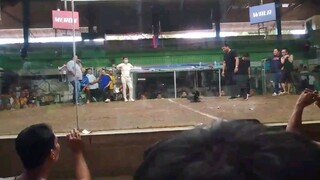 talisay 2nd fight laglag