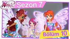 Winx Club - Sezon 7 Bölüm 10 - Winx Tuzağa Düşer