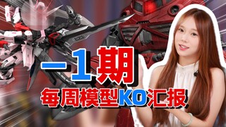 【-1期】每周模型KO汇报