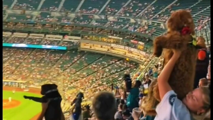 Ketika lagu tema The Lion King mengalun di lapangan bisbol, semua orang pun berkata: saatnya kita me