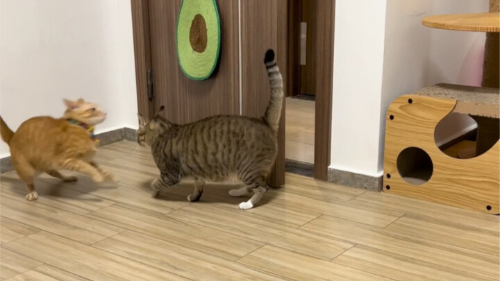 Xiao Mi memang orang yang sangat baik hati～