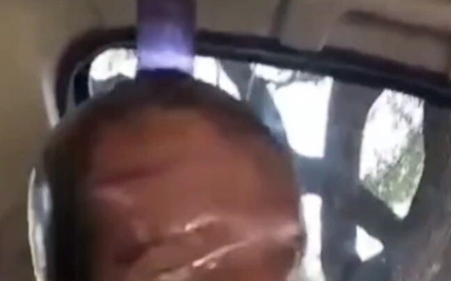 最可爱的独角兽