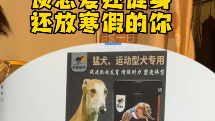 Mahasiswa yang kehabisan uang saku selama liburan musim dingin... memilih... bubuk protein untuk anj