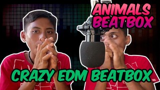 Amazing Twins: Animals Albatraoz Astronomia Cha Cha and Sinulog Music Antheme Beatbox Cover