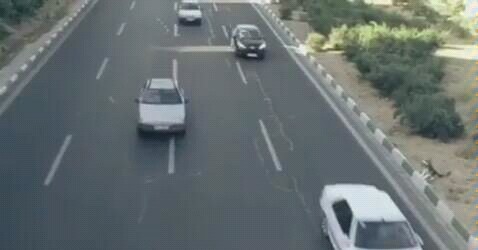 A man dodging vehicles to save his dog